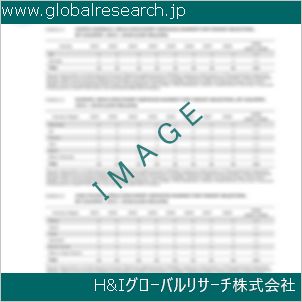 グローバルリサーチ調査資料のイメージ